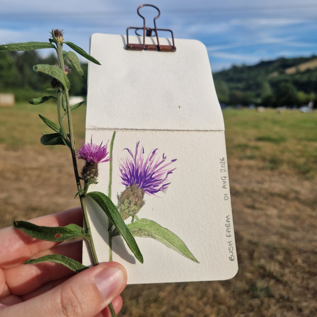Sunday Stroll & Sketch