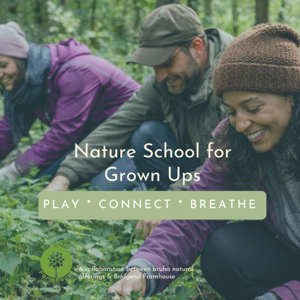 Nature School for Grownups - Spring Foraging Journey - Bridgend Farmhouse