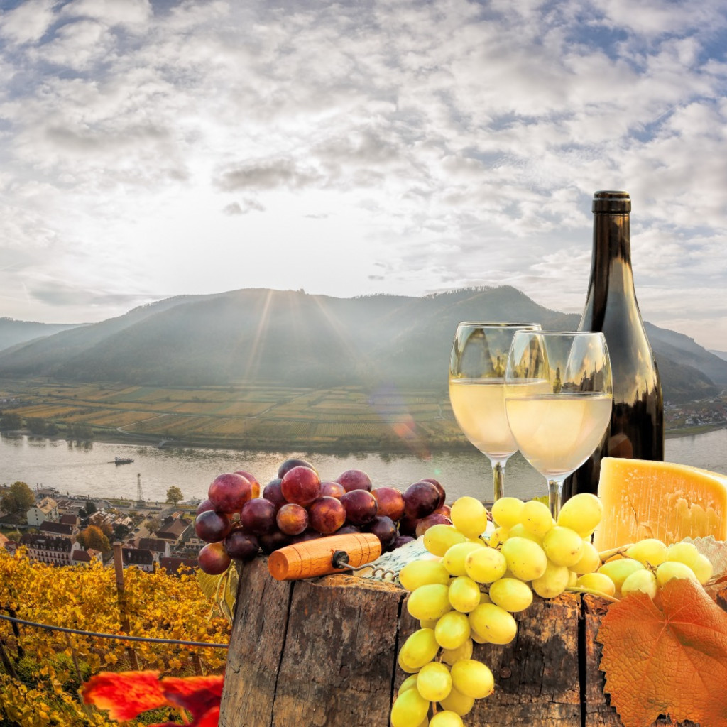 Austrian Wine