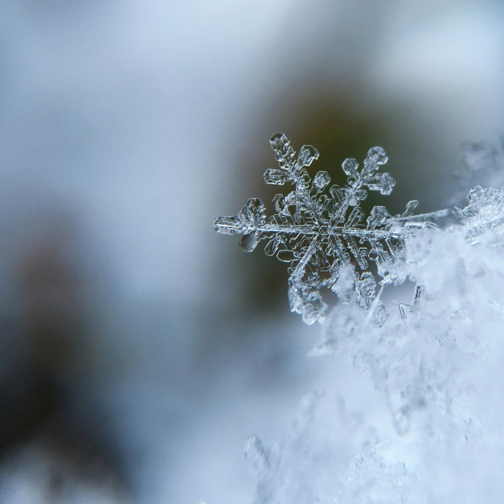 Winter Wisdom for Pagans – Online Workshop
