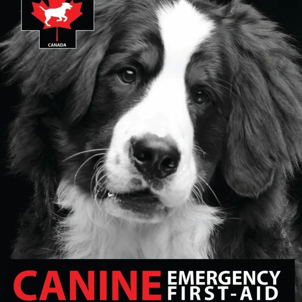 Dog CPR & Emergency First Aid - Hands-on