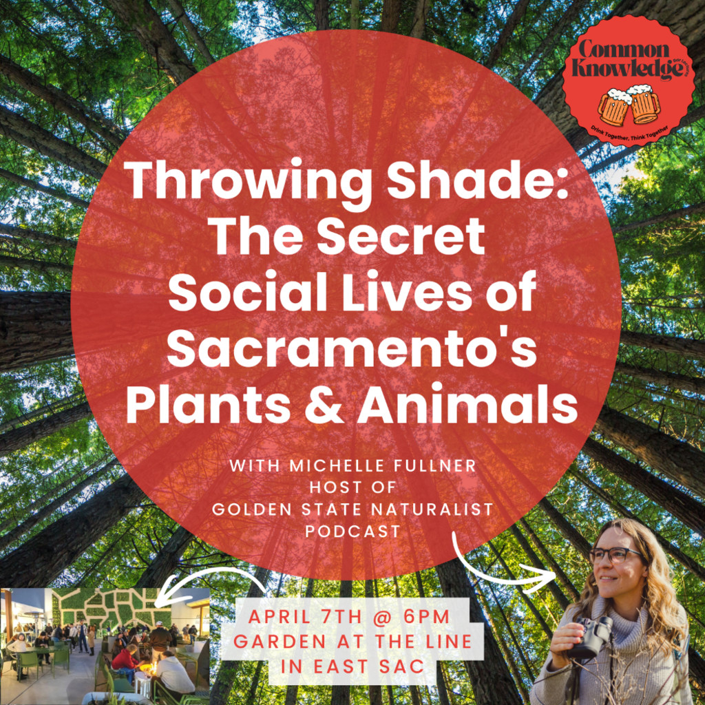 Throwing Shade Common Knowledge Bar Lecture Event Poster