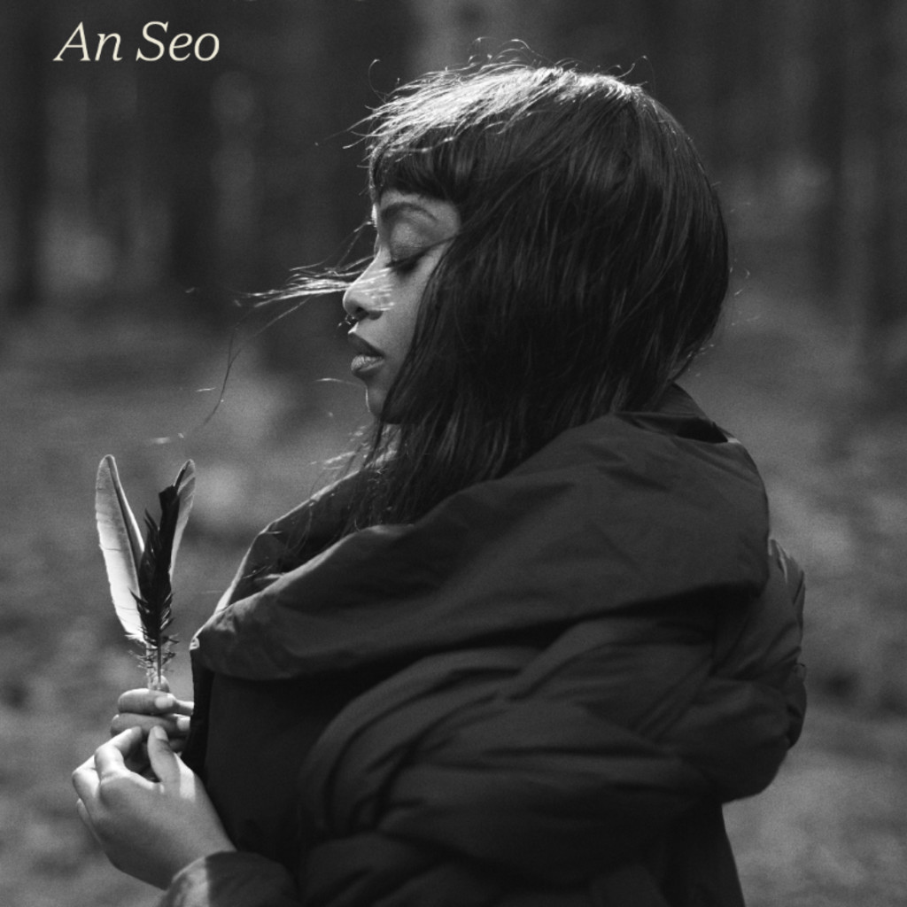 Denise Chaila: An Seo Tour