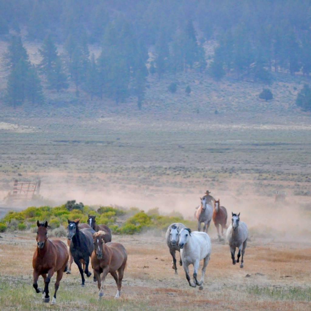 The Outside Circle: A Movie of the Modern West