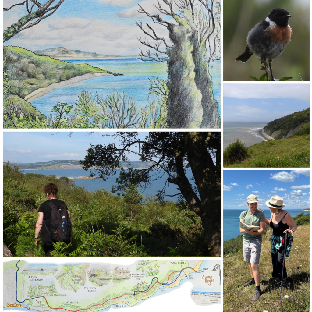 Nature Journaling Weekend at Umborne Bridge Studio & the Undercliffs, 10 & 11 July 2027 (£150)