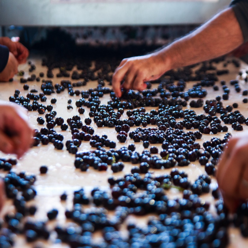 An Evening with Domaine de la Cendrillon