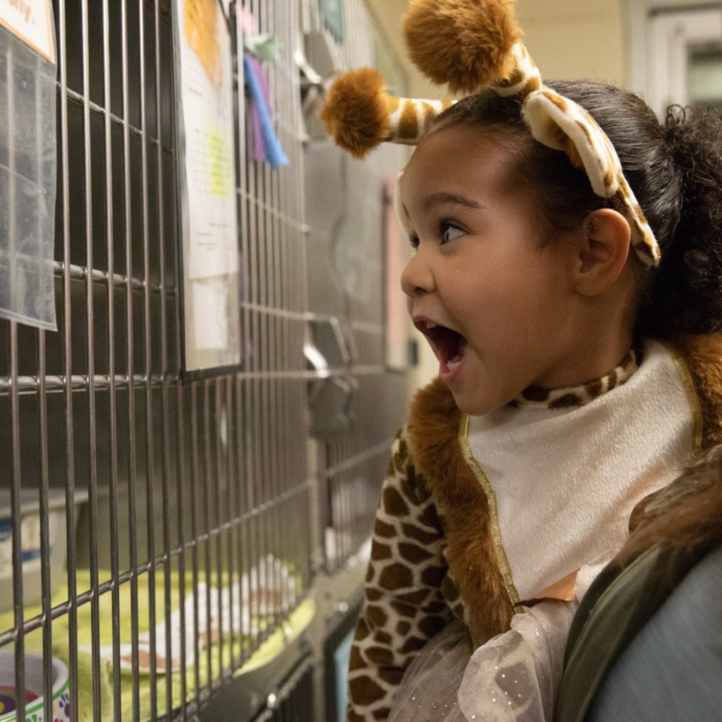 2026 Muttster Mash - Halloween Party for Kids