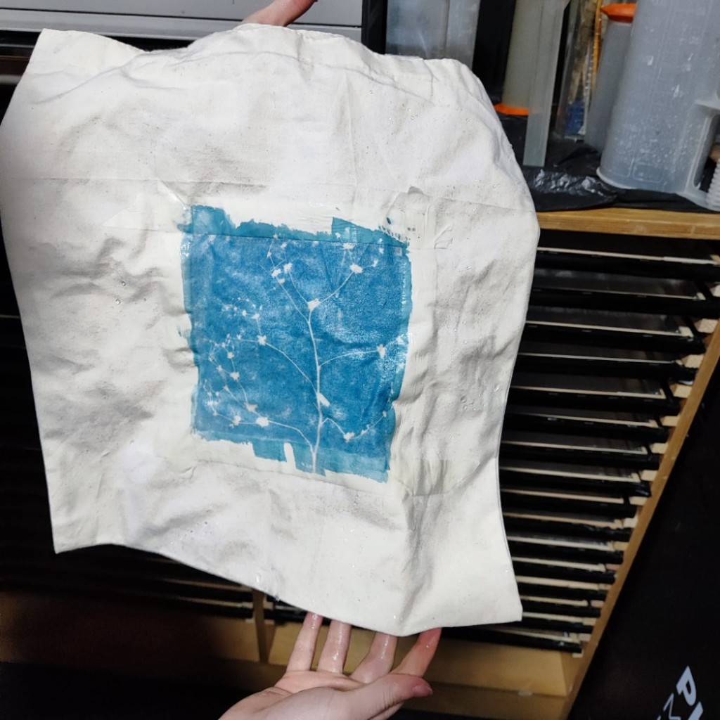 Cyanotype and your photographic negatives - creative printing workshop