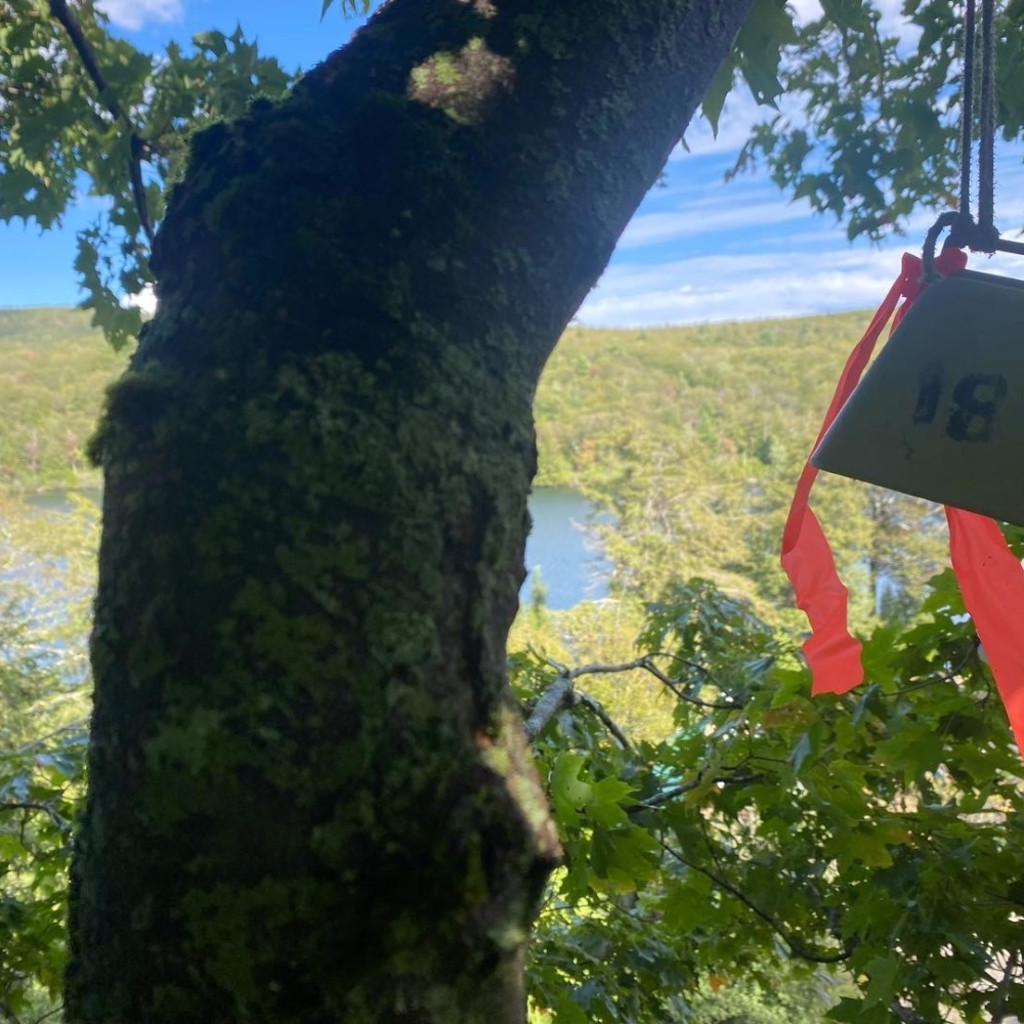 Bell 18 & View of the Lake