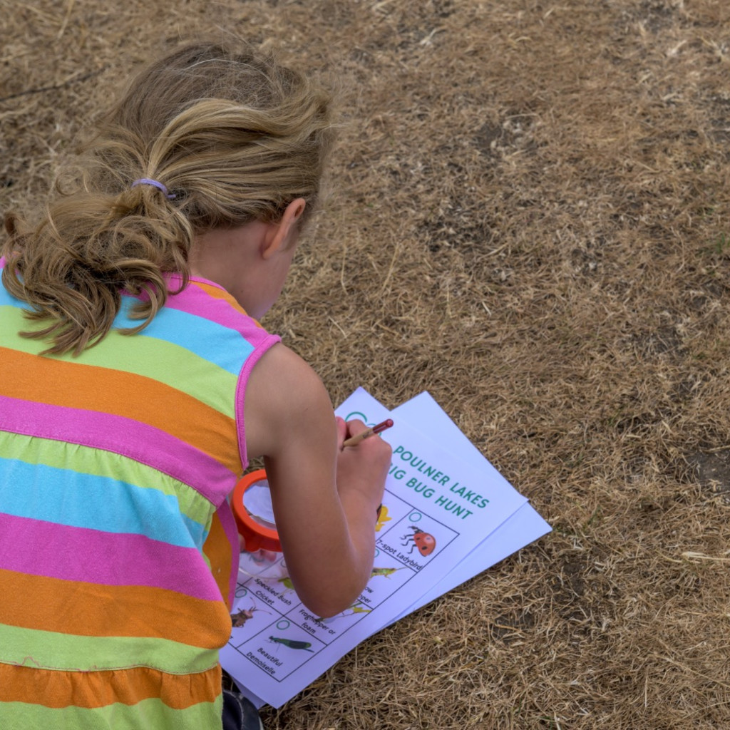 Cancelled - Poulner Lakes Bug Hunt
