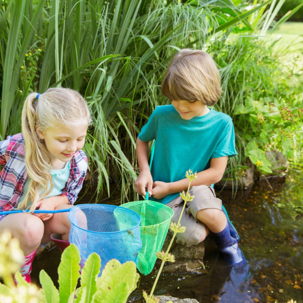 Family pond exploring