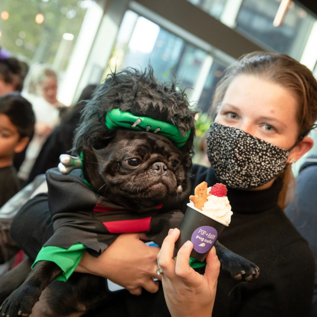 Pug Cafe Halloween - Cardiff