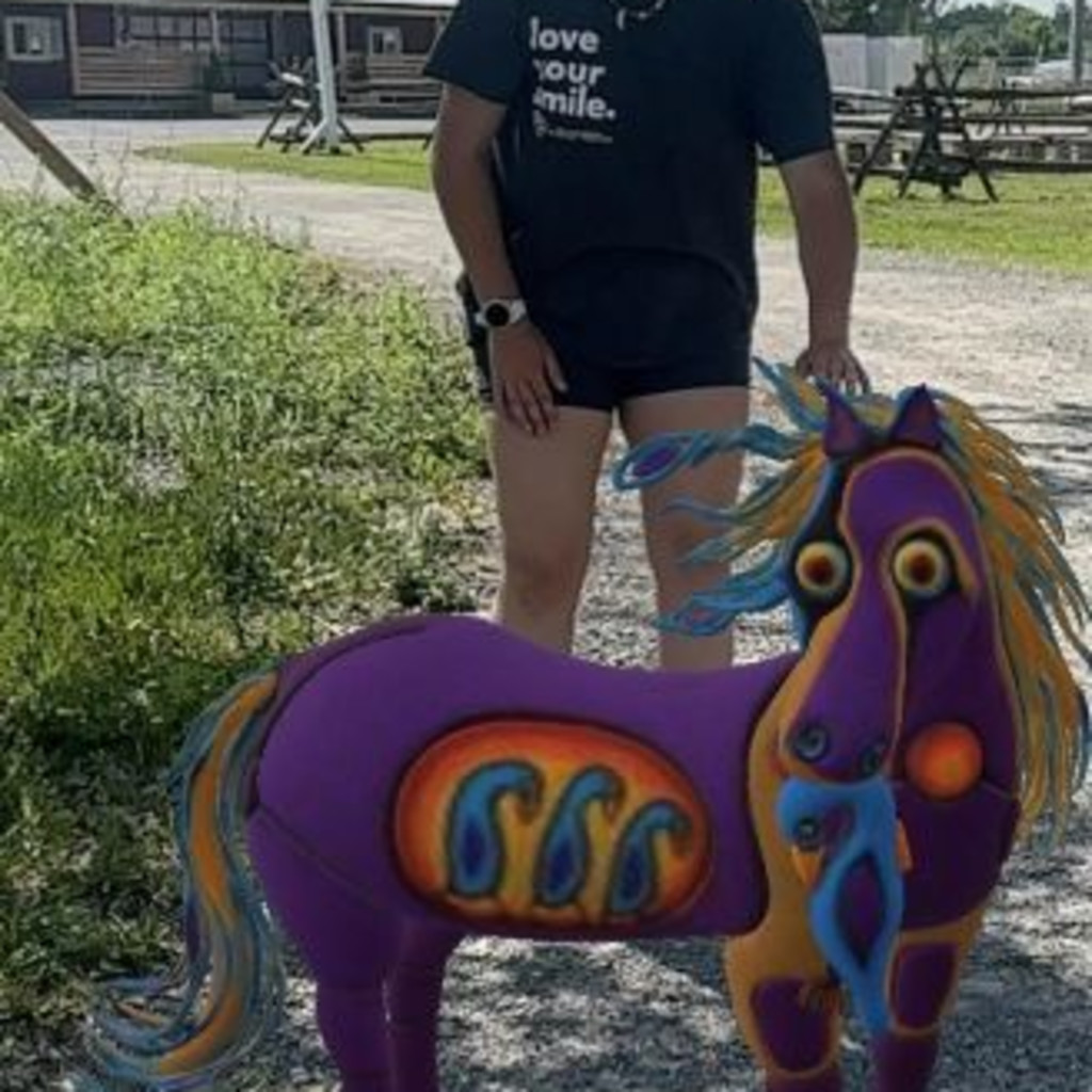 Trail of the Spirit Horse