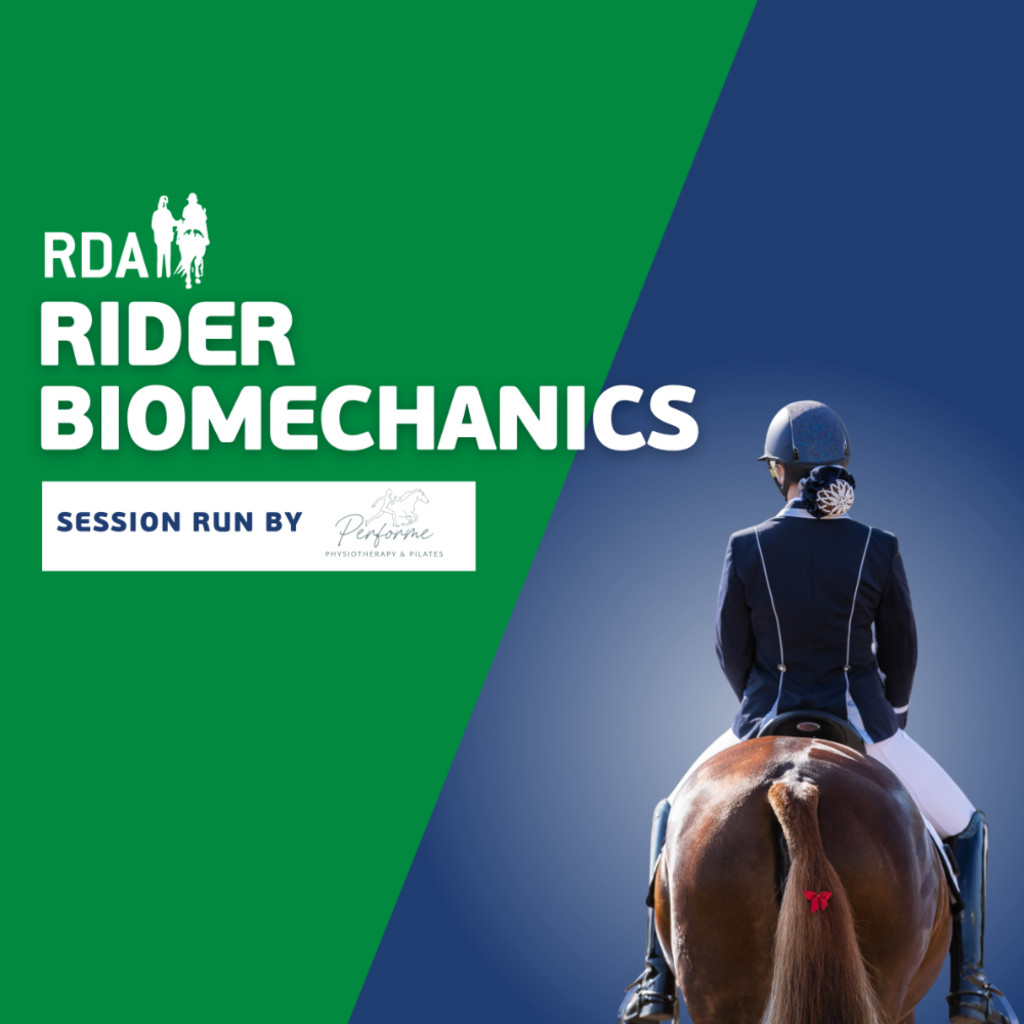 Rider Biomechanics: From Theory to Practice