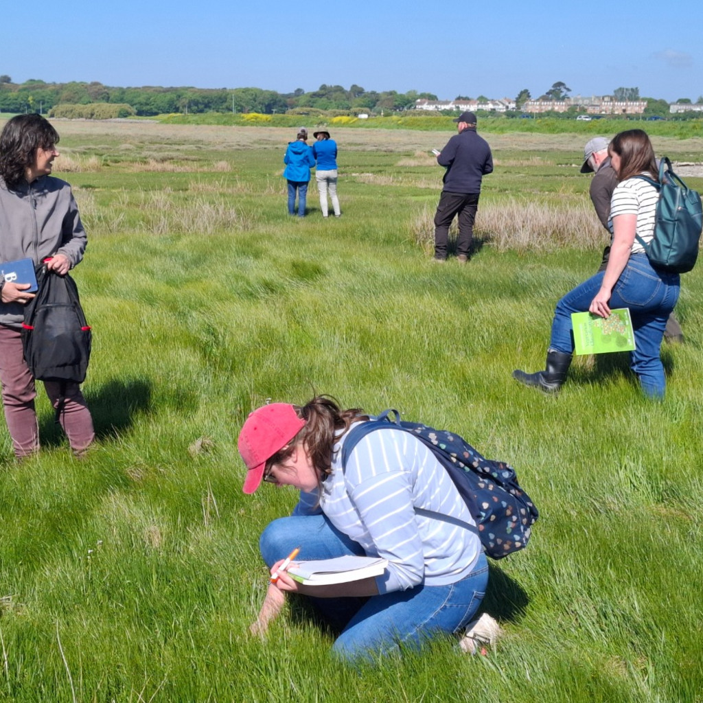 Introduction to Irish Vegetation Classification