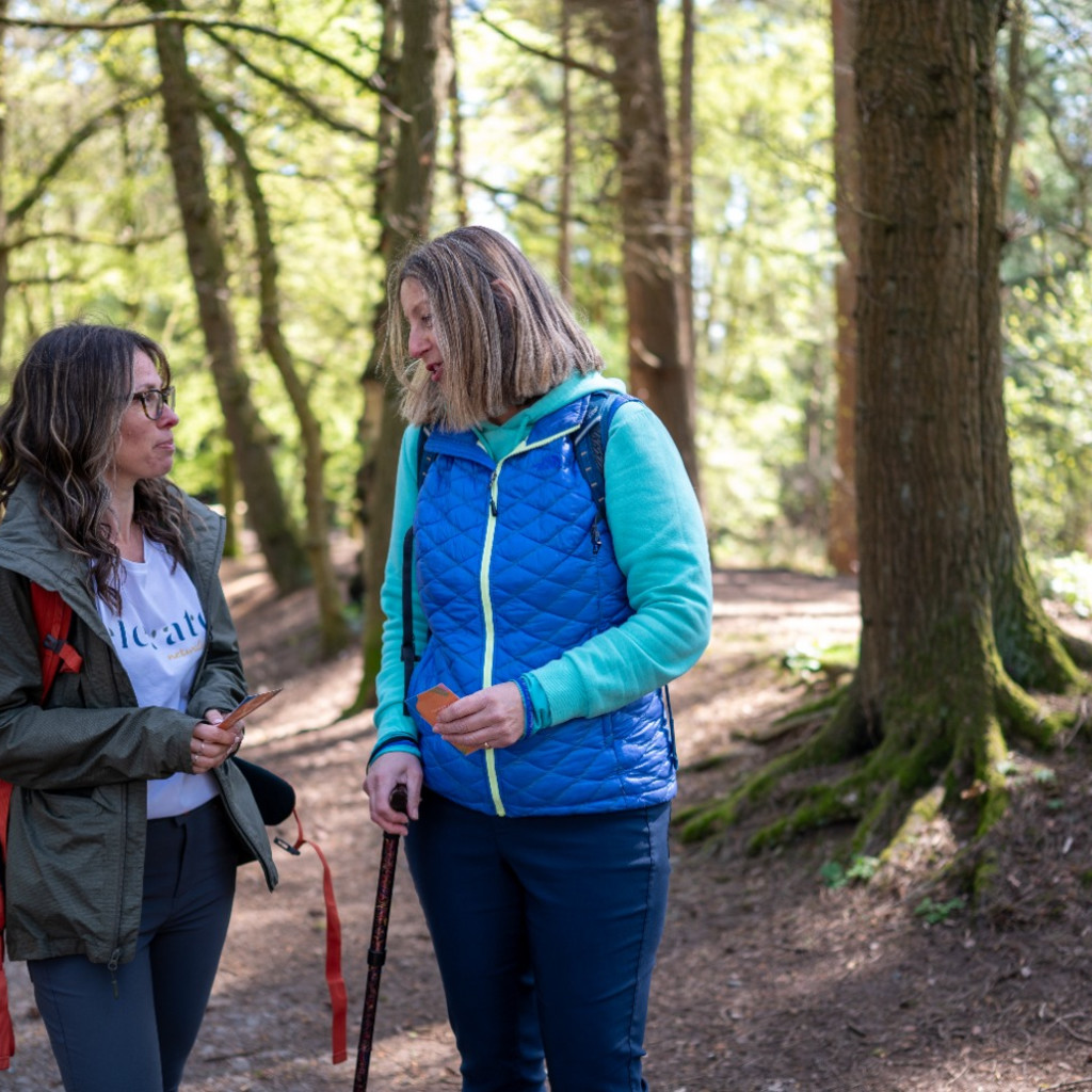 People walking through the forest smiling