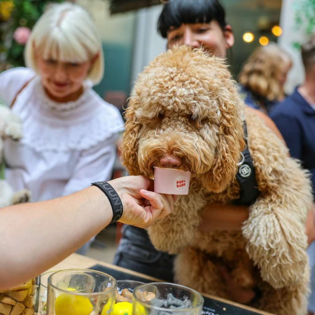 Cockapoo Cafe - Glasgow