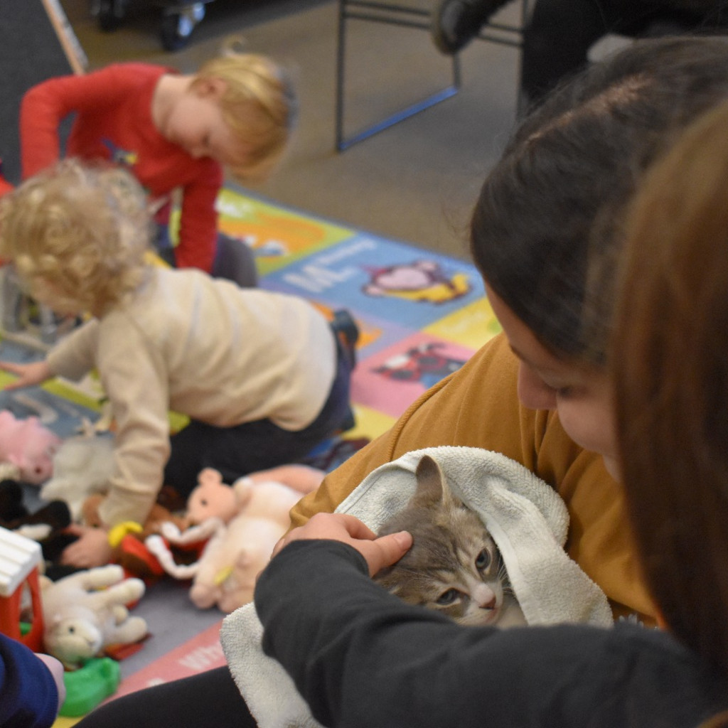 Little Paws Toddler Time