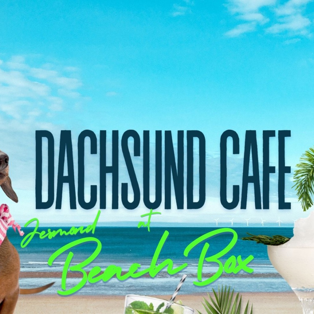 Dachshund Cafe™ at Beach Box Newcastle