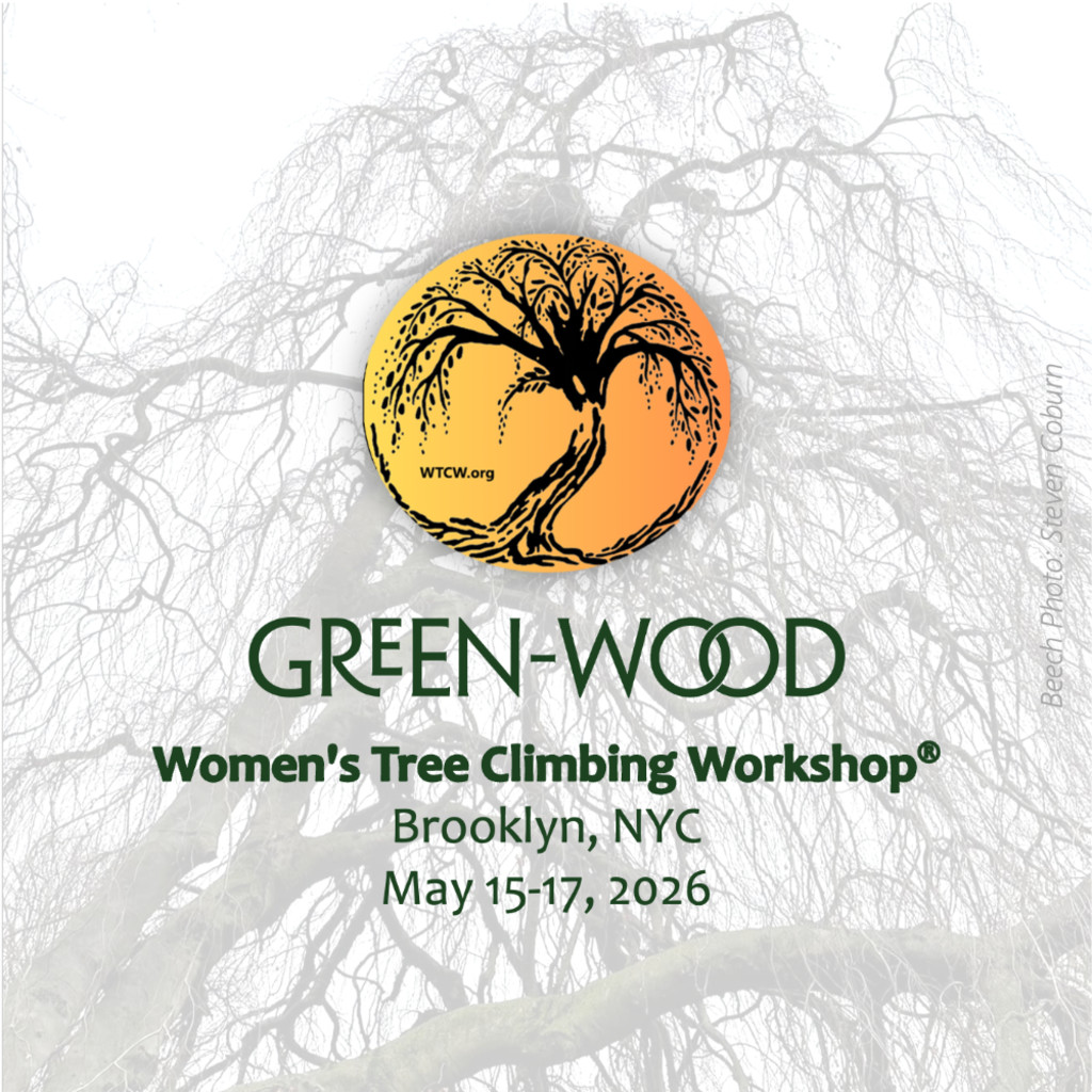 Green-Wood's Stunning Trees!