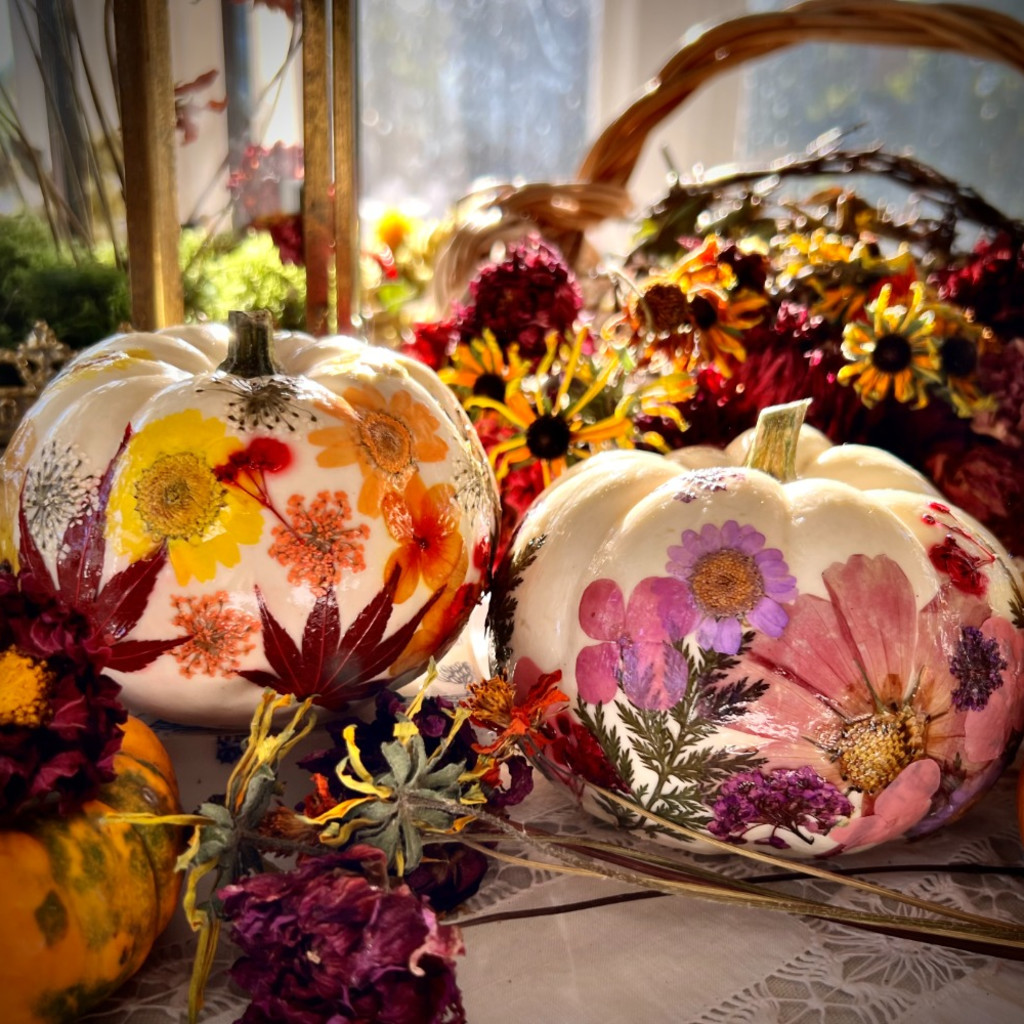Botanical munchkin pumpkin decorating