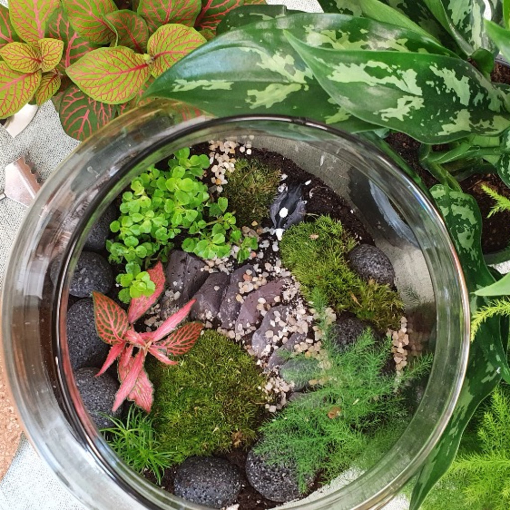 Classic Terrarium Workshop at Studio 35