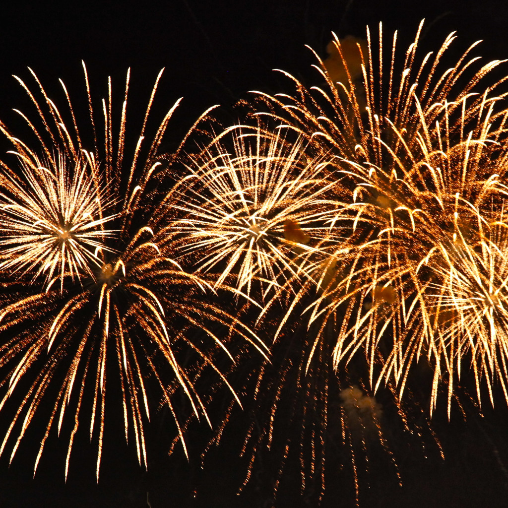 Twyford Round Table bonfire & fireworks extravaganza