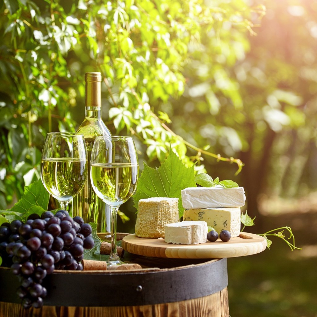 Wine & Cheese Garden Party