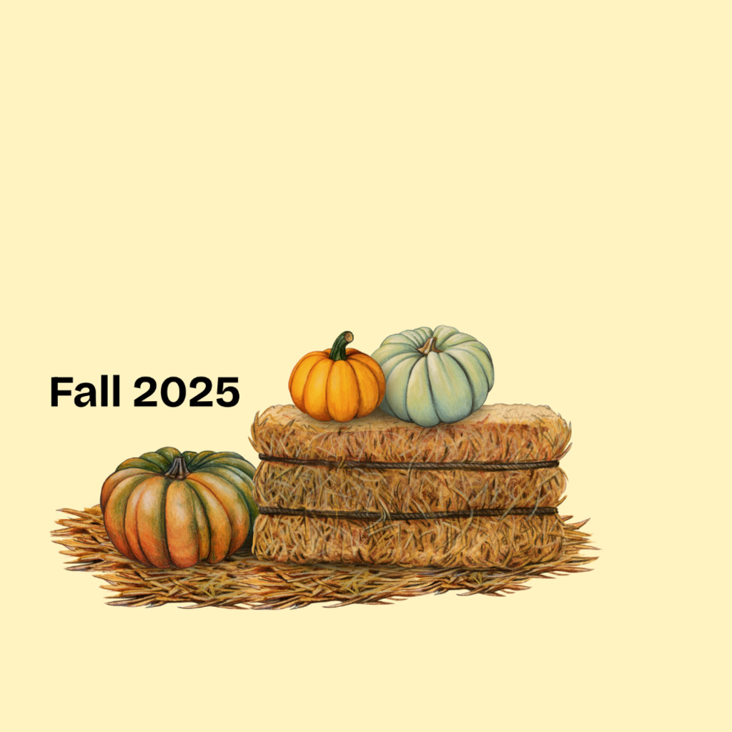pumpkin patch fall 2025