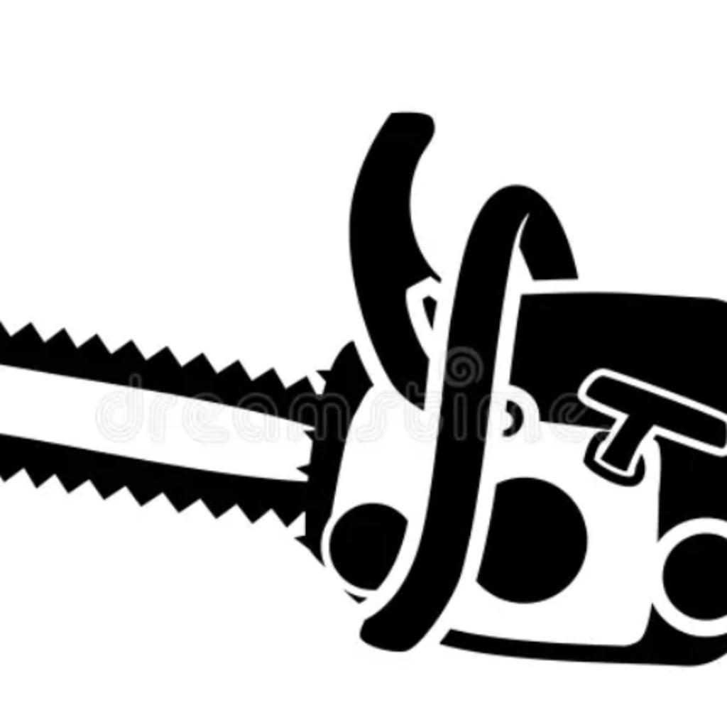 Chainsaw Safety Level 1