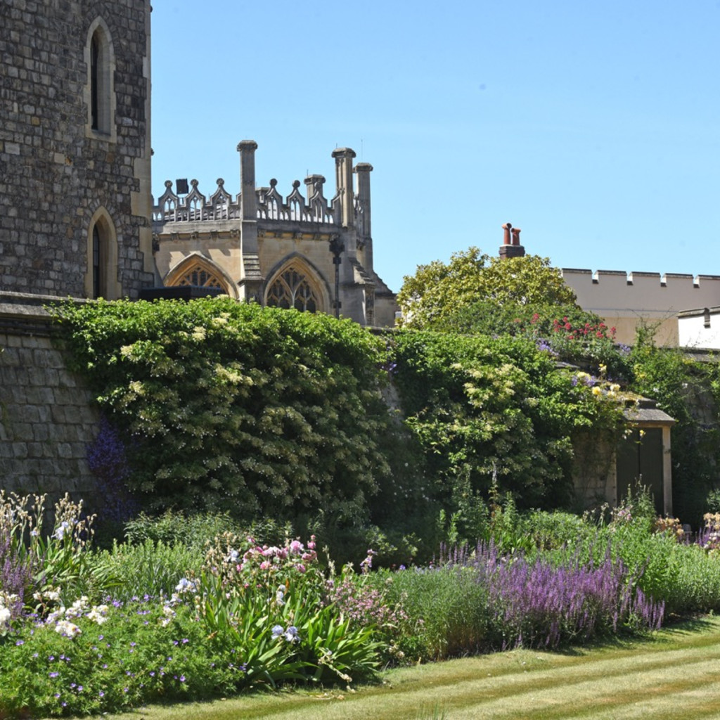 Windsor Castle Moat Garden