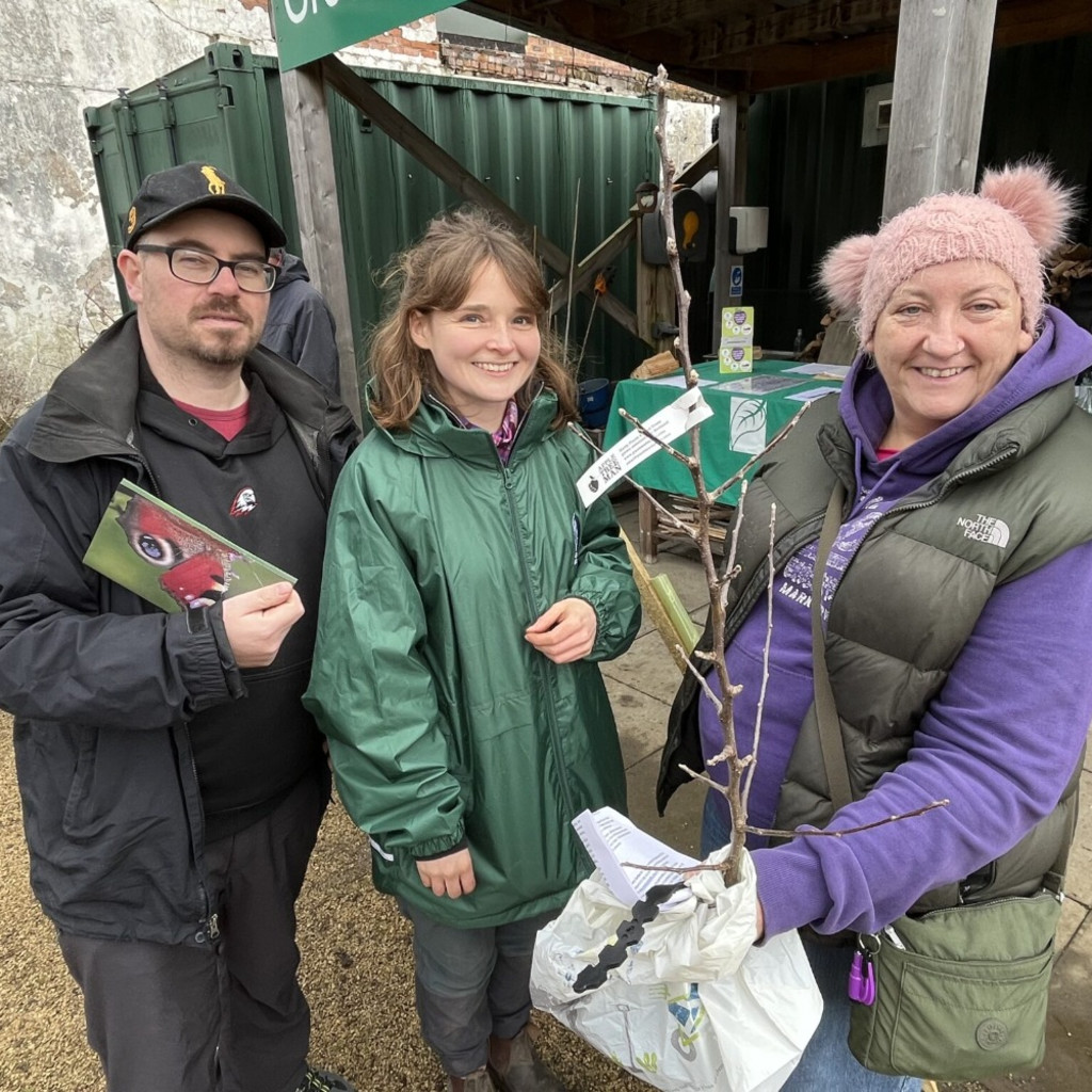 Pick-up a fruit tree in Rosyth