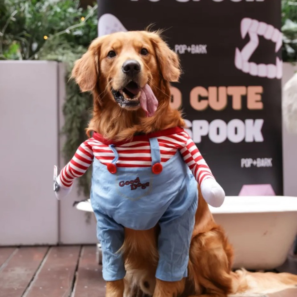 POP+BARK's Ulti-Mutt Halloween Dog Cafe - London