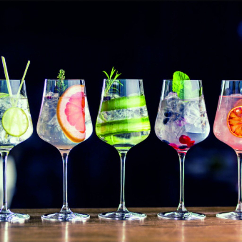 Gin Special - Botanicals & Tonic
