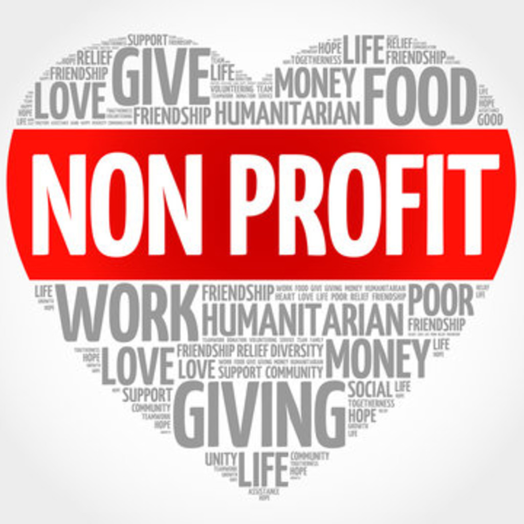 The Nonprofit Pivot: Blending Profession and Purpose