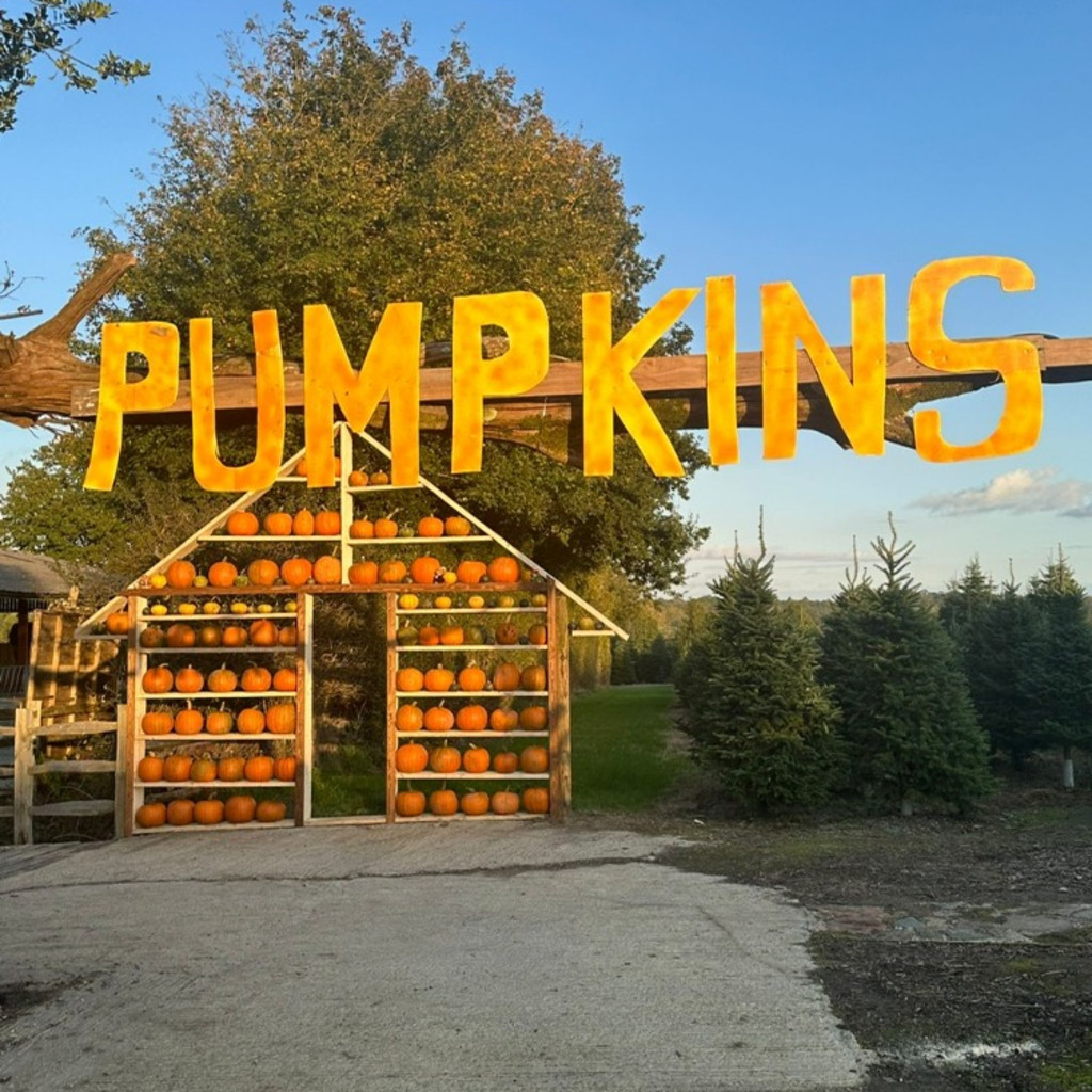 Pumpkins & Play at Goddenwick Farm