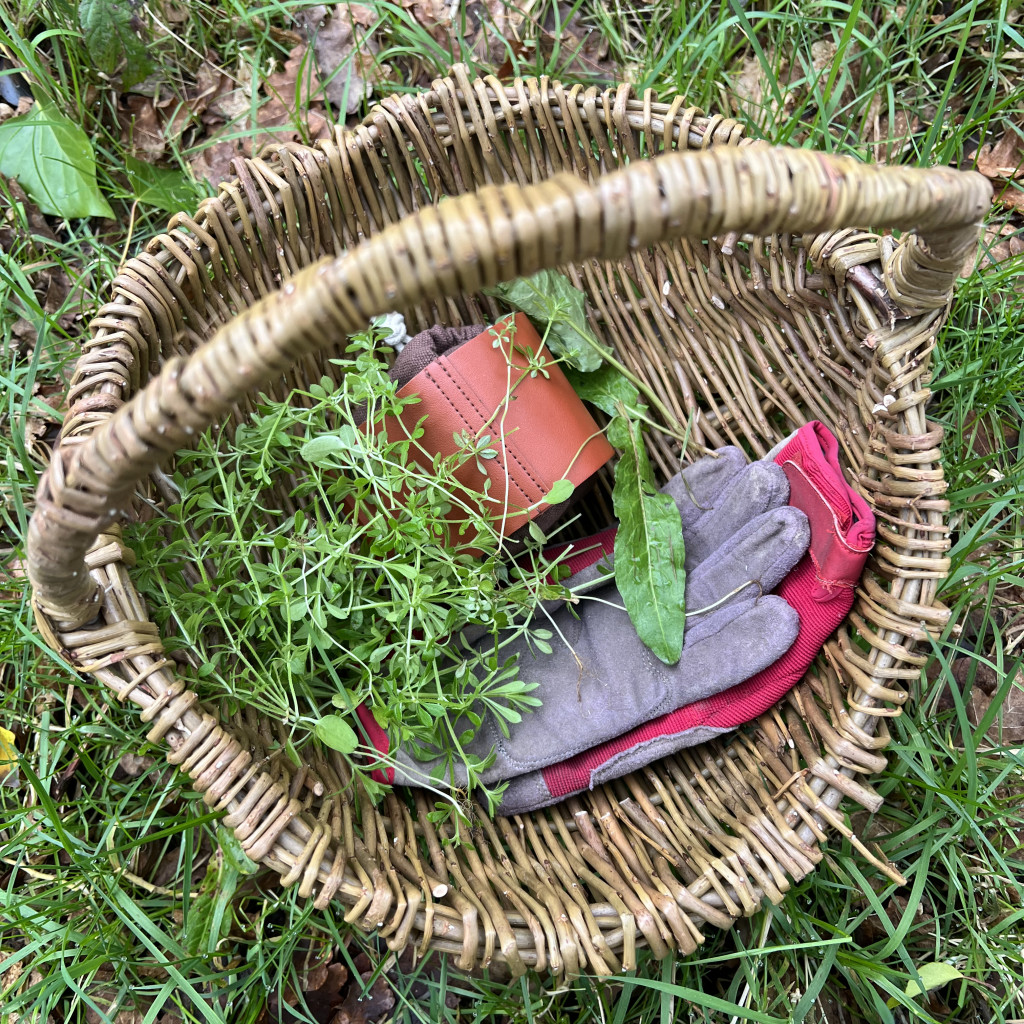 Round willow basket on the grass with leaves and a pair of gloves inside