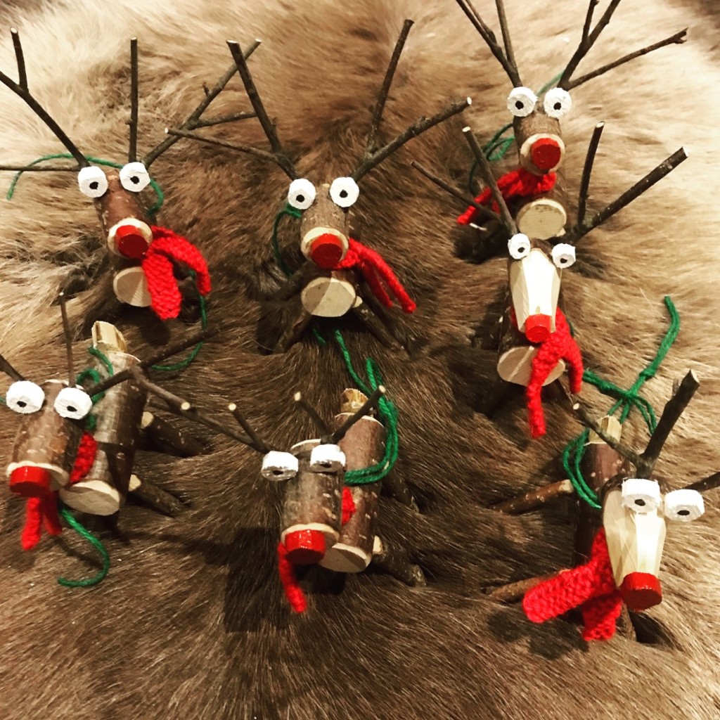 Festive Decoration making with Green Aspirations