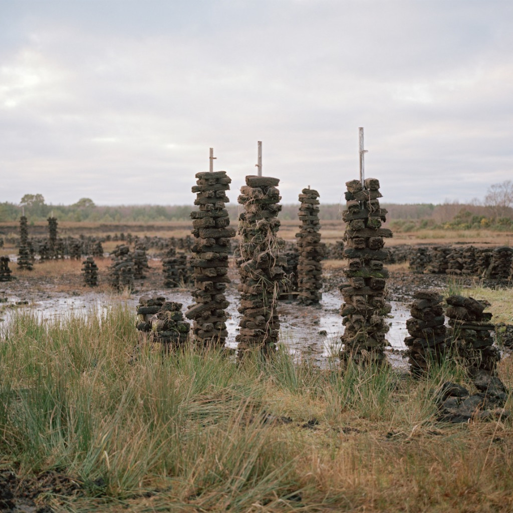 Azure Dementia friendly tour of Shane Hynan Beneath | Beofhód exhibition - armchair edition - online event