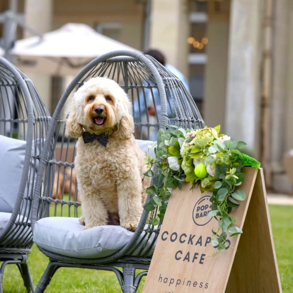 Cockapoo Cafe at Down Hall Essex