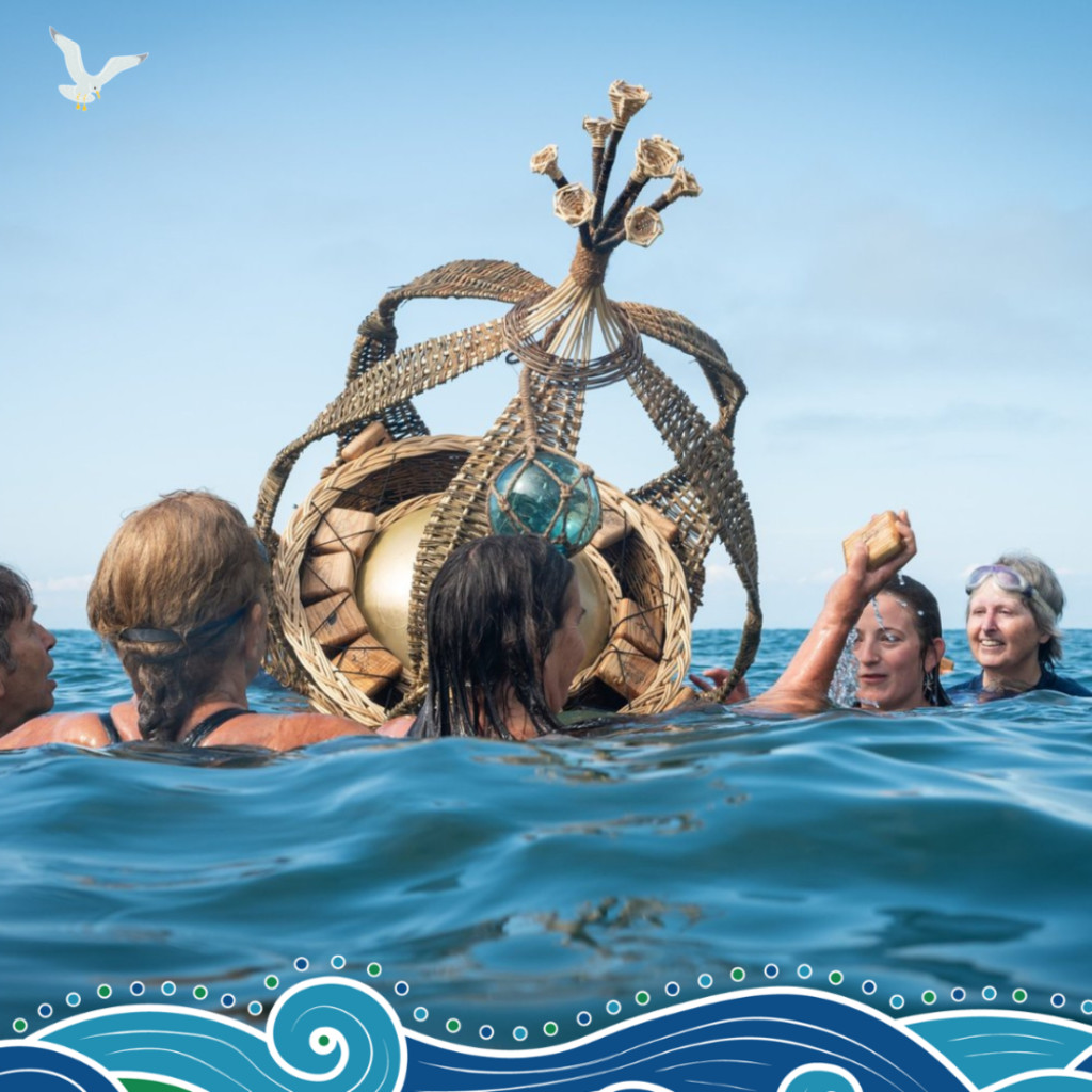 Swim from the Wild Shore