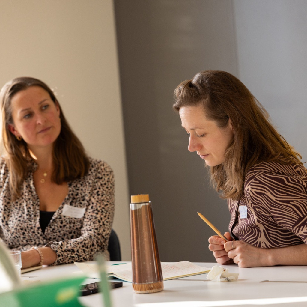 Transformatief leren & samenwerken vanuit de Inner Development Goals (IDG's)