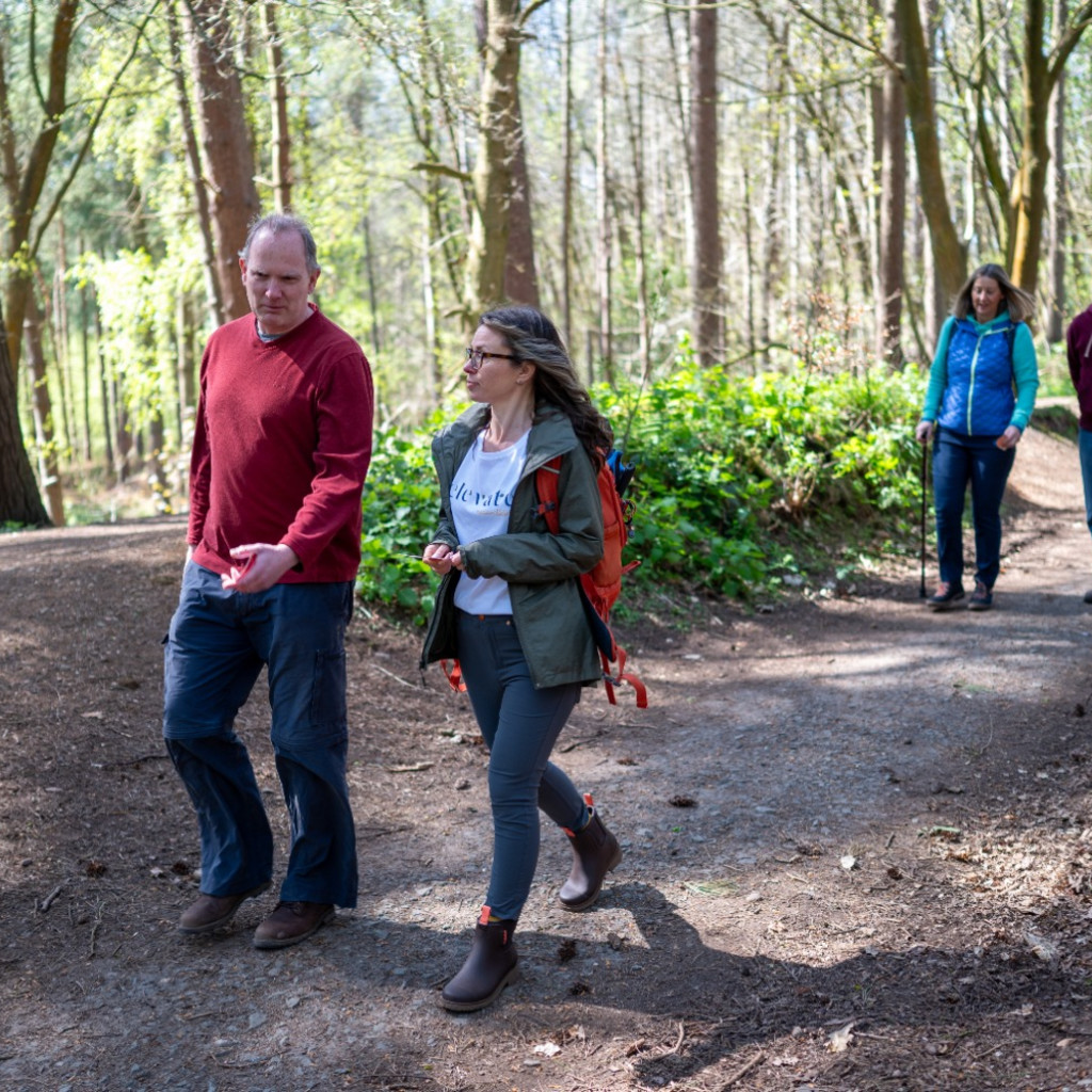 People walking through the forest smiling
