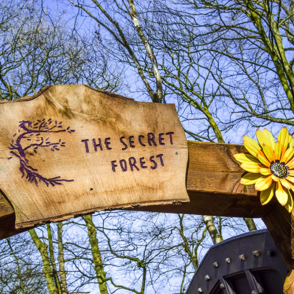 The Secret Forest Entrance