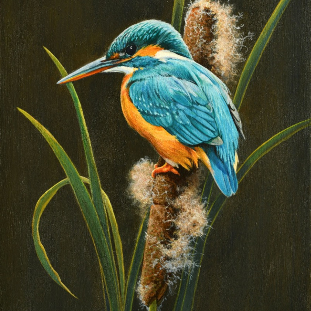 Painting a Kingfisher on Bulrushes with Kim Thompson