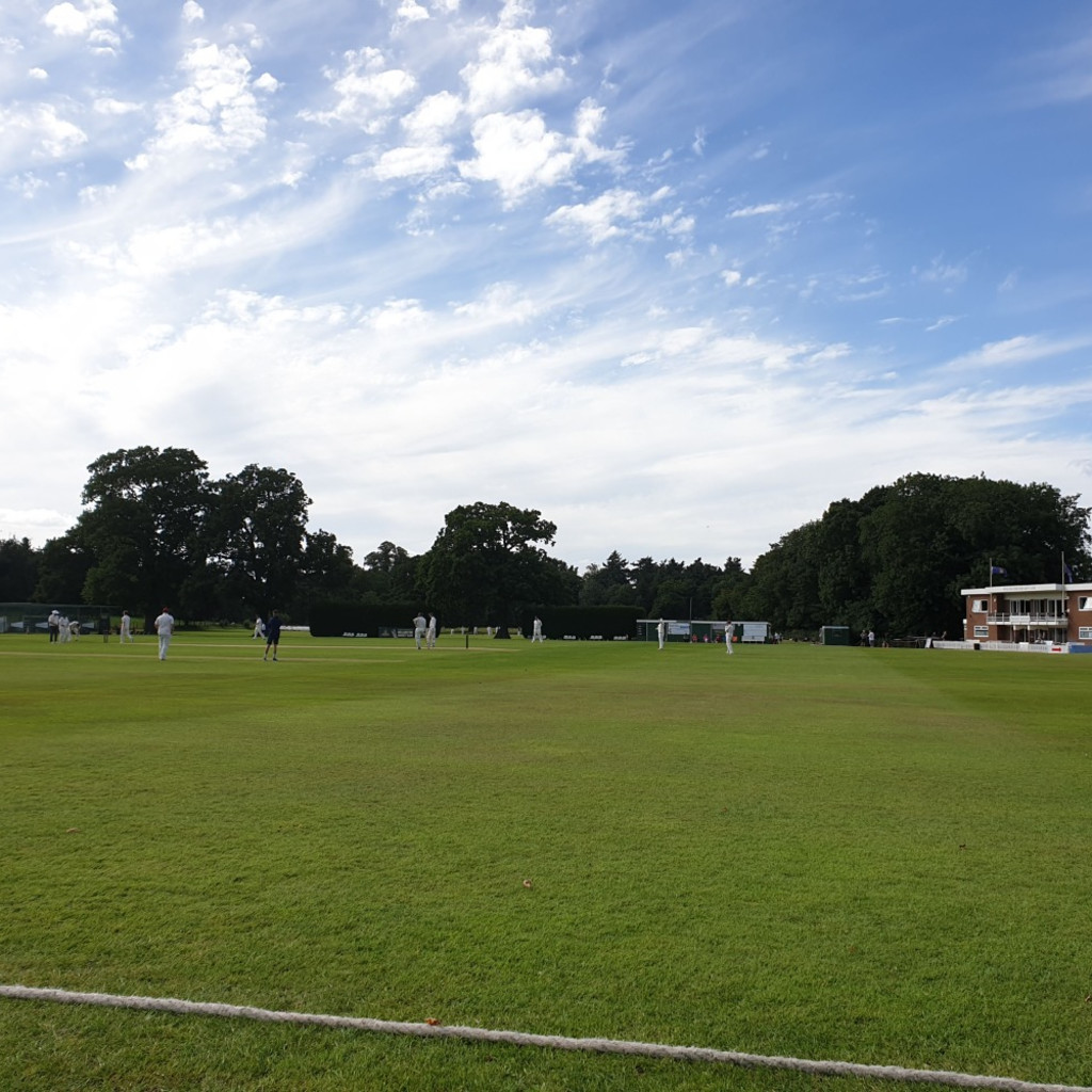 Wellington CC Vice Presidents' Day 2025