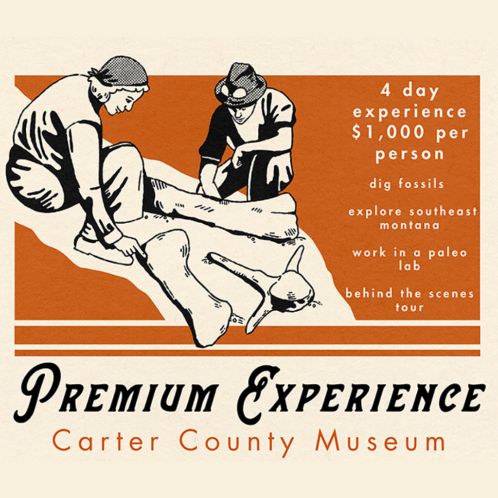 Premium Experience