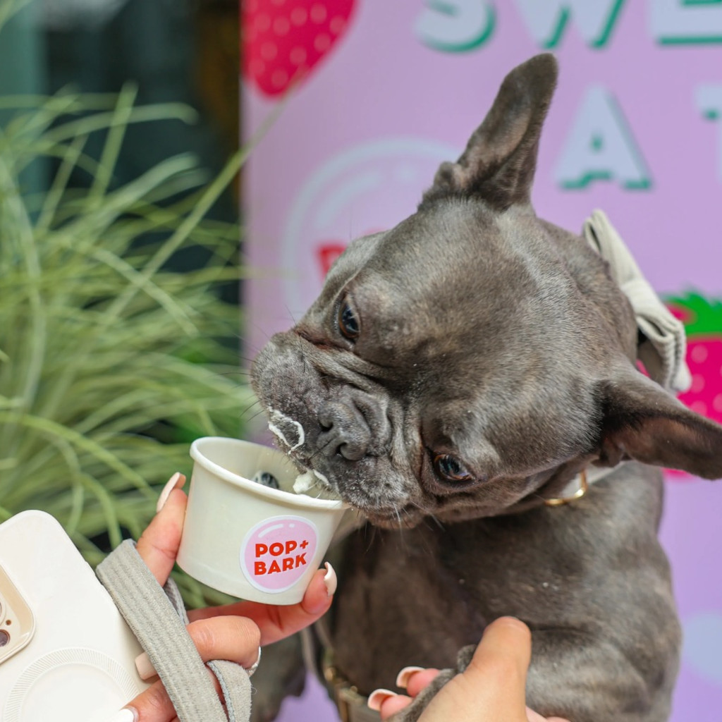 Frenchie Cafe - Milton Keynes