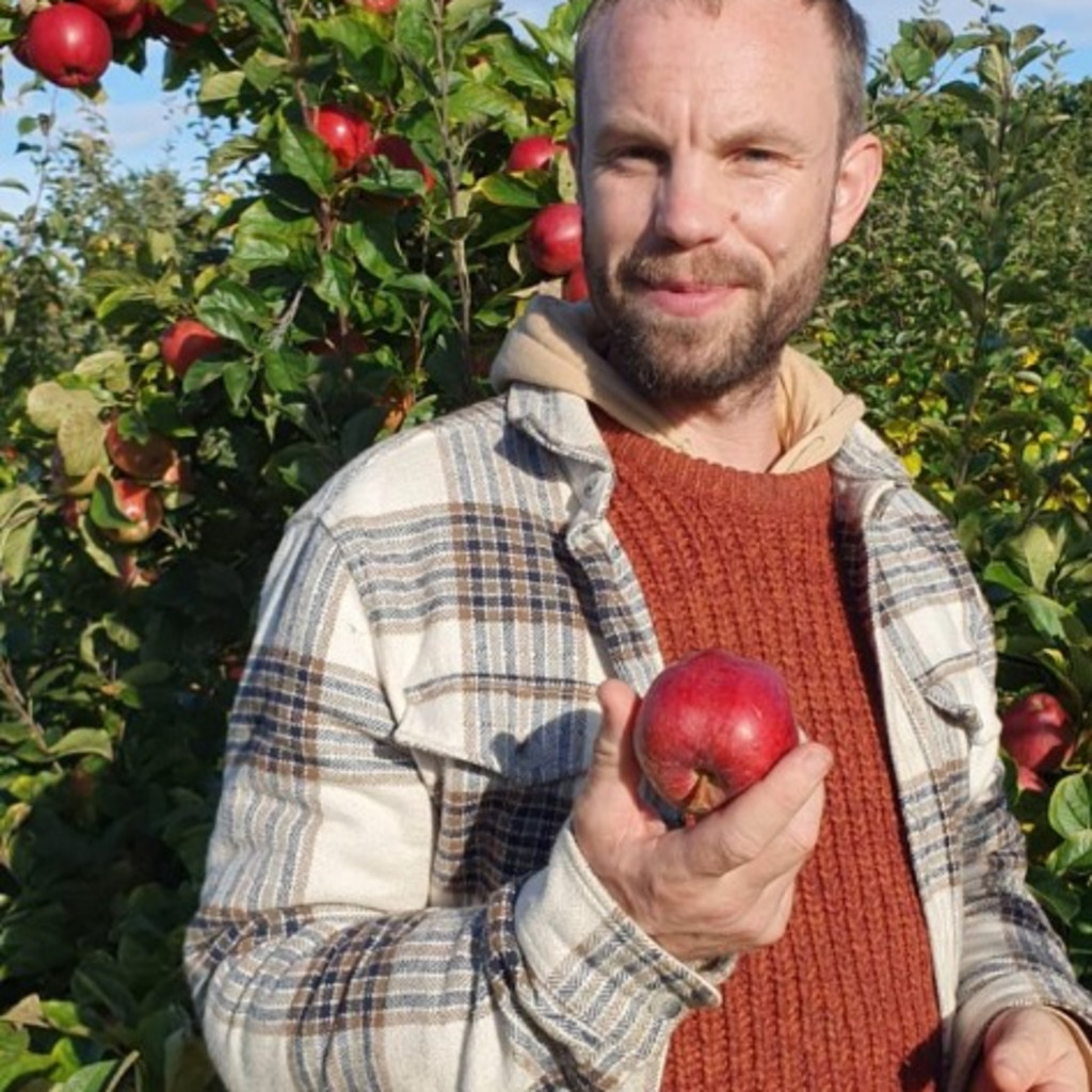 Summer Fruit Tree Pruning with Fife Fruit Trees