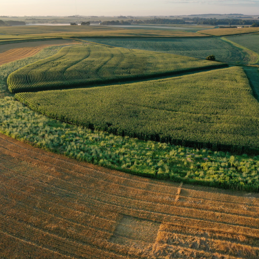 From the Margins: Wilding American Farmland for Climate Resilience